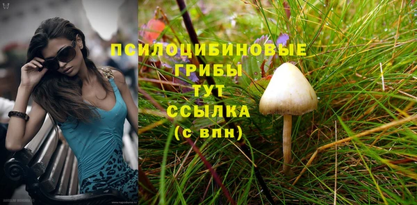 ГАЛЛЮЦИНОГЕННЫЕ ГРИБЫ Магадан